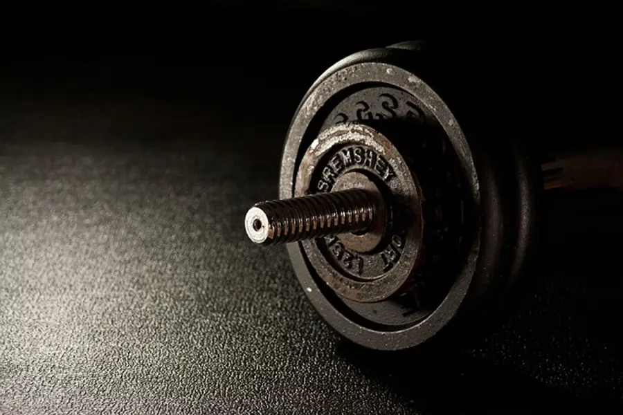 Banco de Peso Yoleo: Transforme Seu Treino por Apenas $55?